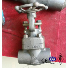 Forged Steel Valve A105 Lf2 F304 Material